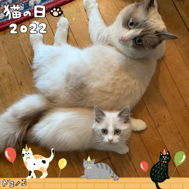 Ec3236ed ee8e 437e ad6e 0c6dad4716ed 1645495337879