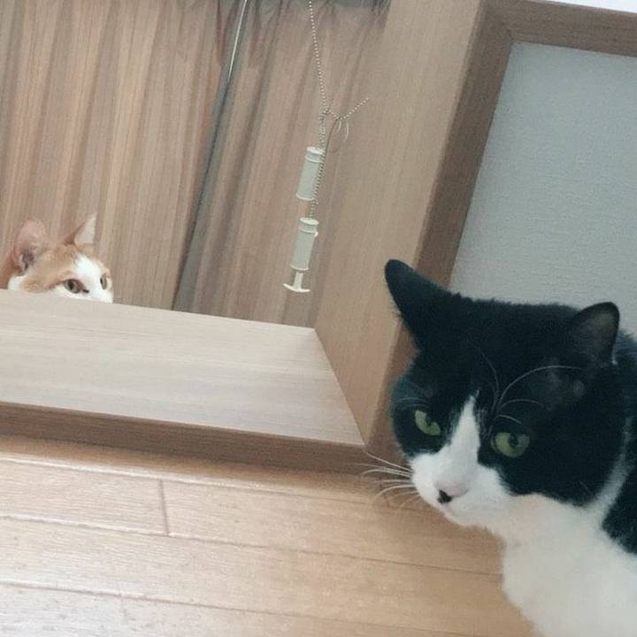 Ec324293 904e 4c01 8eab be002a793d9f 1523231884039