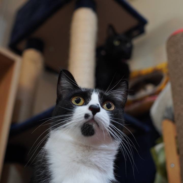 Ec324b93 95f9 4f3d a5f2 0d1ac6d15ab6 1613905797163