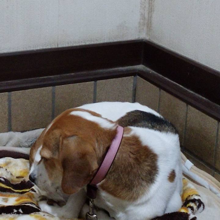 Ec329014 f1f3 49d0 ad81 a79e62ecbd43 1577199482924