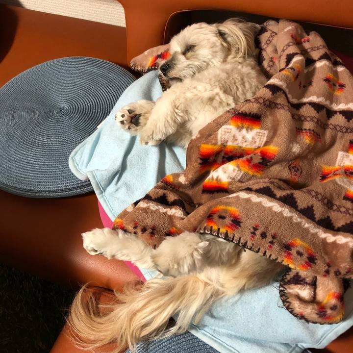 Ec32b636 c20c 45b0 a11b c281394c2d2f 1509805654780