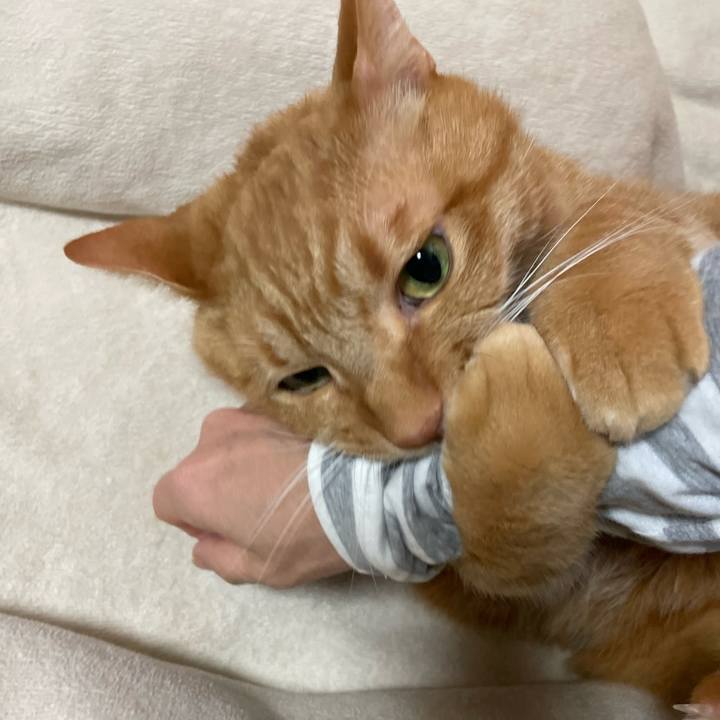 Ec32bfd8 0e68 432c 8bfc 27ddb1ec51b4 1672169810642