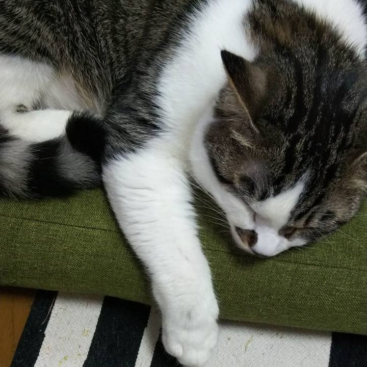 Ec32ce18 86a5 4f9e af66 dd880db9c33e 1619271339073