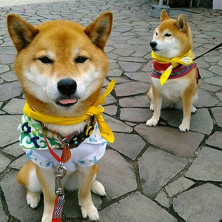 Ec32d19f e35c 435c 9247 d7692628af6f 1560094150675