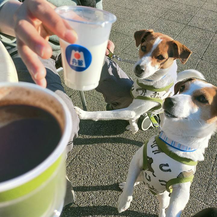 Ec32d4db f970 4d0c 9aaf ed2a41d9668e 1768565715536