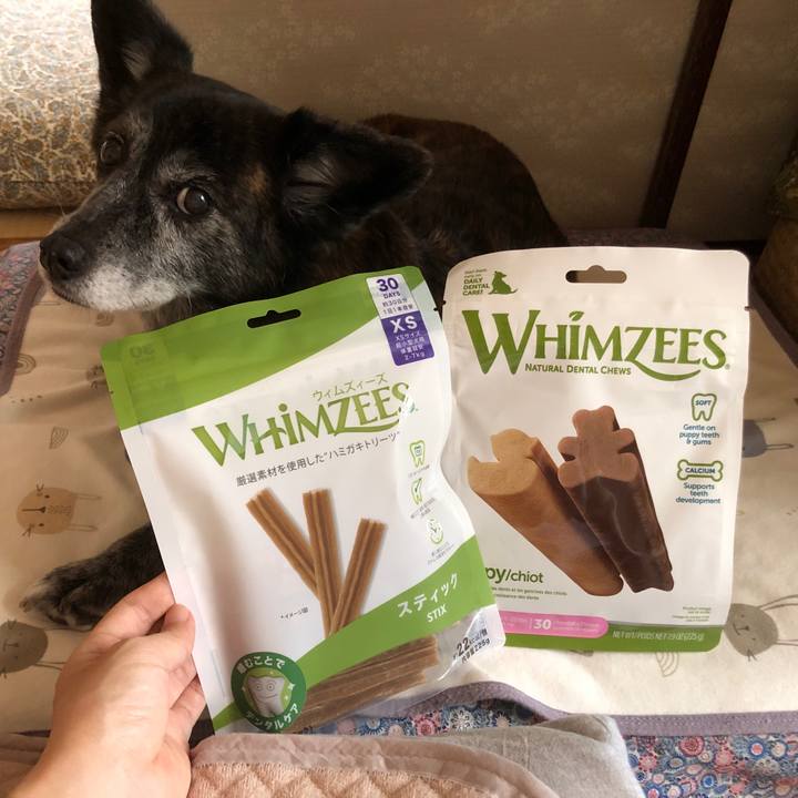 Ec3310ab e4b4 4d8c b262 9e1982ac7857 1695110188174