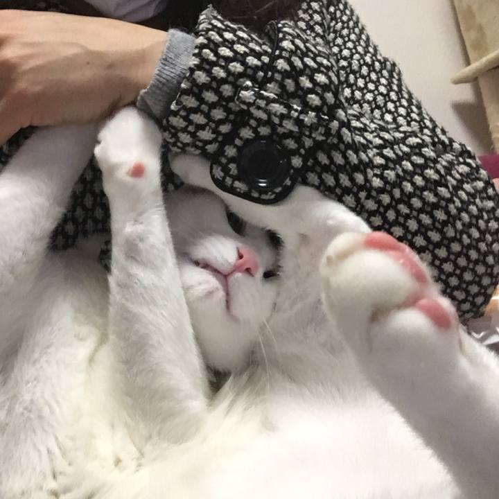 Ec331bc7 7cf4 4823 a43e f542488224d6 1508561461229