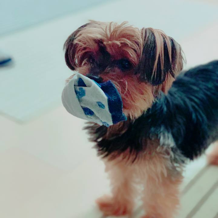 Ec3363eb f912 4ac1 b495 a71cb084ccab 1625371657108