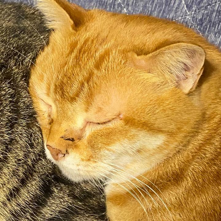 Ec33a2b5 1226 4687 b06f 1fef4088eeb6 1618570013156