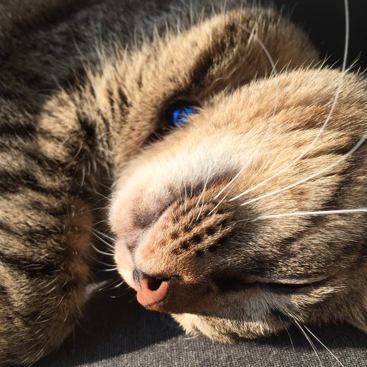 Ec33a778 31ad 4c94 bbd3 236c54de4e9b 1552131297903