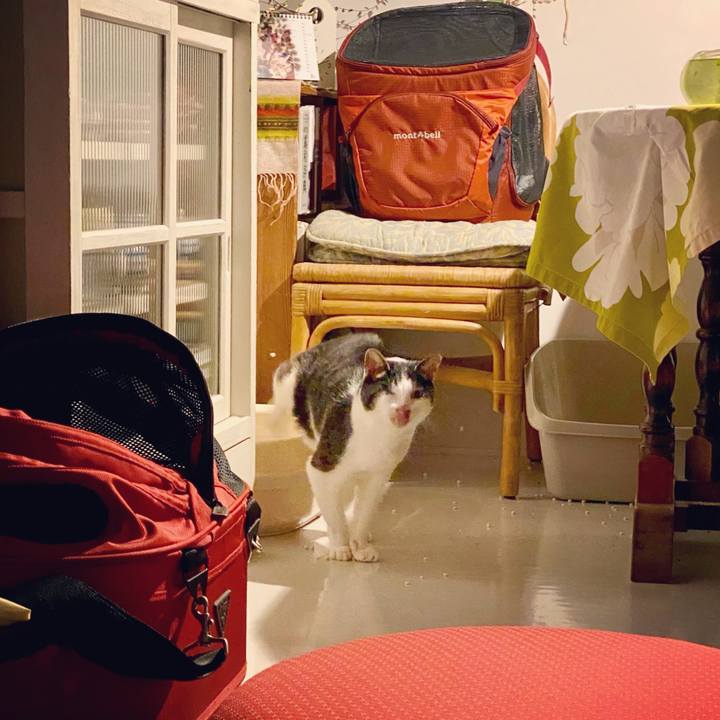 Ec33aa34 c9f4 4dcf beb2 102d83292884 1616164699725