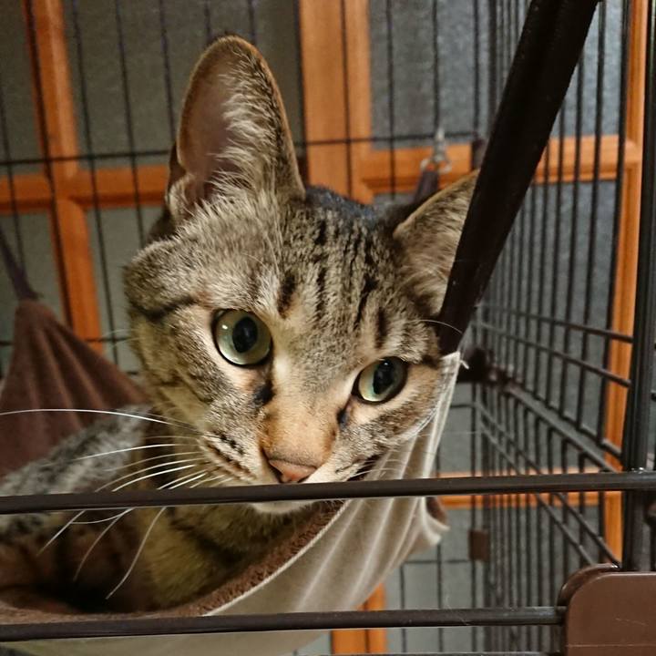 Ec33d98d 7209 48b4 b1ec c881722dc5d3 1619002516996