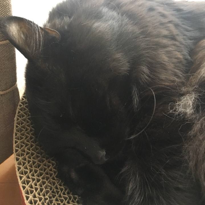 Ec340fbe 3c0b 47aa bc6f 6f7b59495019 1524564584778