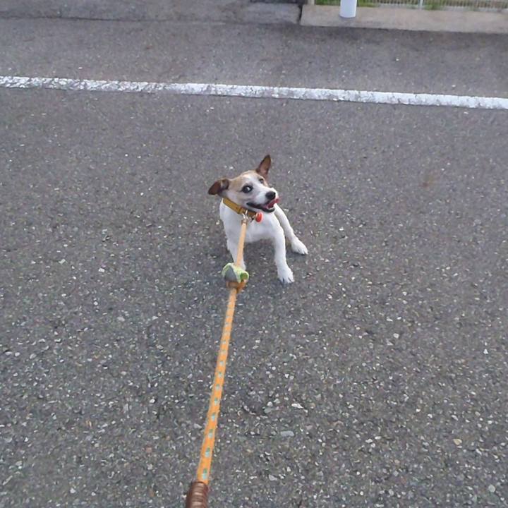 Ec34285e dd03 4aa8 9eec 5b6097433abb 1513054647055