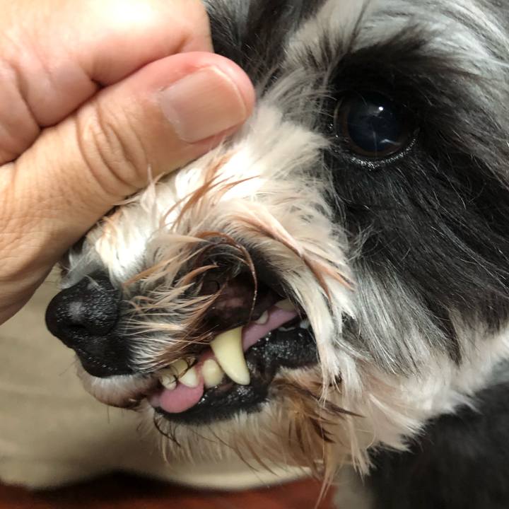 Ec343b62 de13 4eec aaa4 1637432834d4 1728377579729