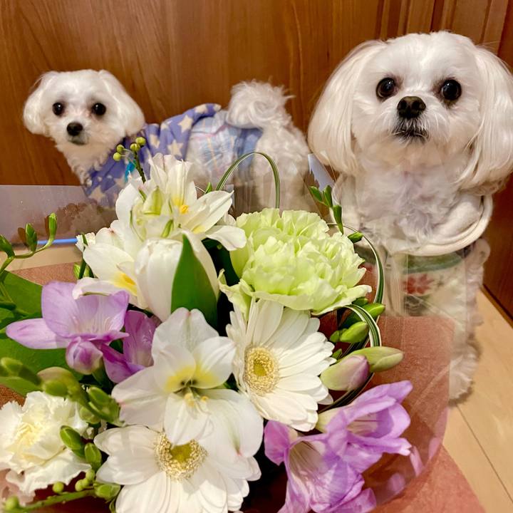 Ec345bf4 6b2a 4fa4 abd6 d9c8f8206279 1615447997501