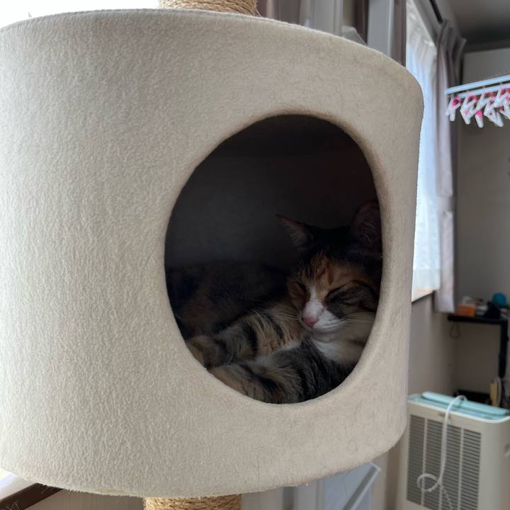 Ec346c8f b321 4010 b49c 6cdfda4a0ae4 1686102309604