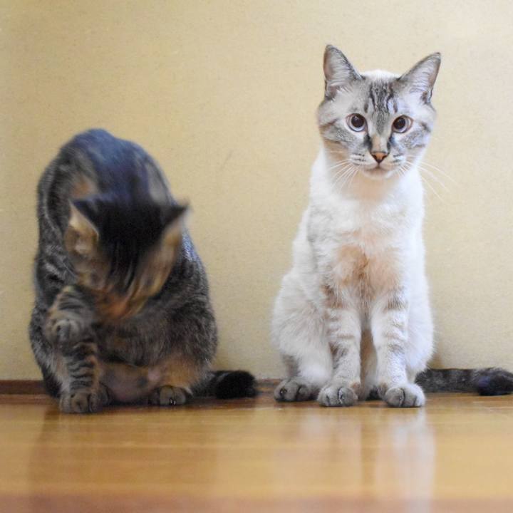 Ec34b340 9389 434f 9c34 34f9e93e150a 1534938812629