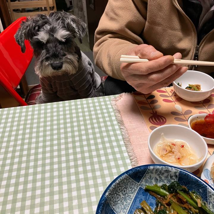 Ec34e6f3 f030 48e1 bb95 09b1c96580c9 1733492914827