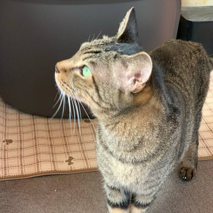 Ec35292b 6020 44de 84e2 93700f648661 1577491663788