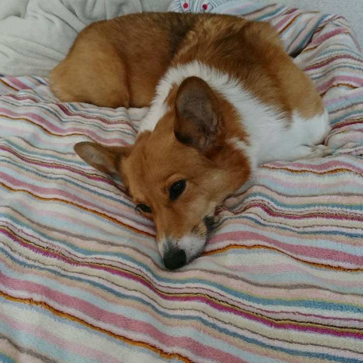 Ec352c11 ecd3 40b7 afa7 01127e536637 1512342970286