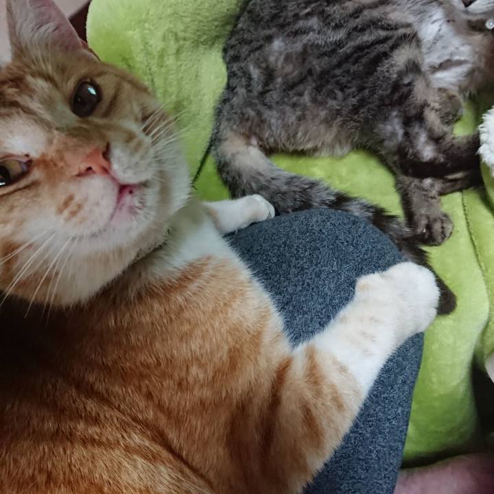 Ec3566b8 5c04 41e0 b49c 1e517f56dfba 1588378473251