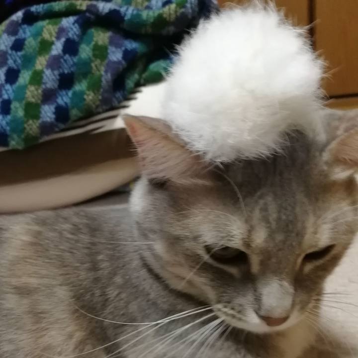 Ec3575ed 3dd8 4f65 beca 685696bf164f 1515296251320