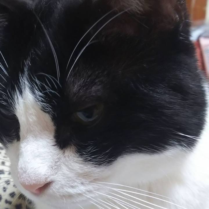 Ec357a60 47ce 4043 92bf cde6f1241ee4 1566009063841