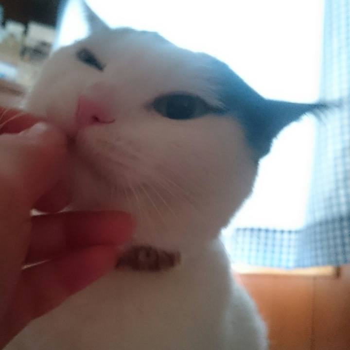 Ec357c46 143b 4a3e bb85 7bee13781c33 1518240915629