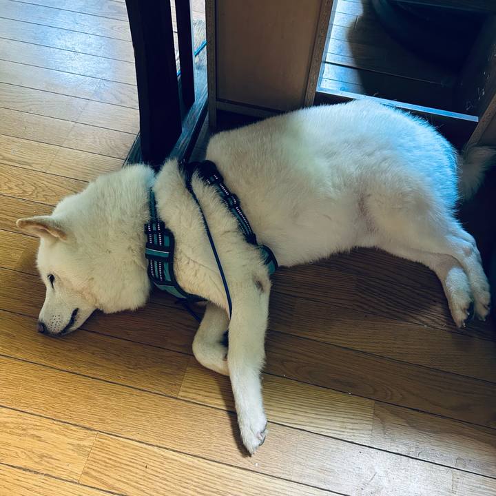 Ec358aed 2fdb 4345 a57a ab12368c45b7 1753223772317