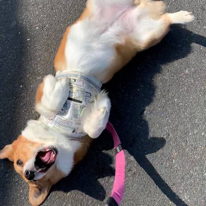 Ec359868 4f6a 471a 8b49 18a9d4283d44 1649728823987