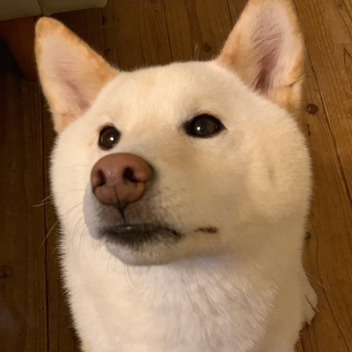 Ec3599dc 44cd 45ce 86b9 d6c04673ae47 1557486172898