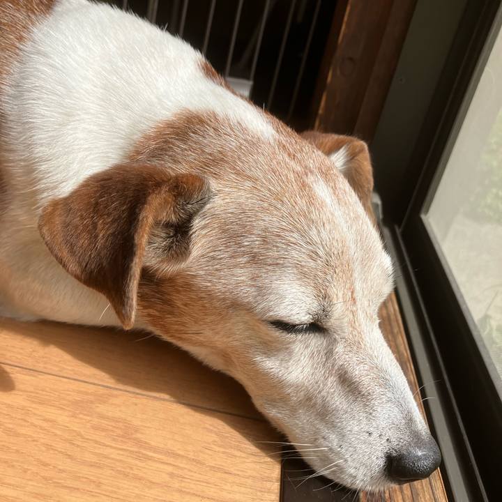 Ec359c90 86ca 4f41 98e1 5d2929f8555c 1759114964450