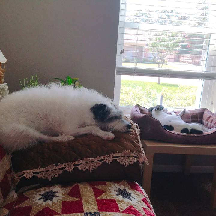 Ec360582 5bd6 4763 8786 635cde258fe9 1565268038906