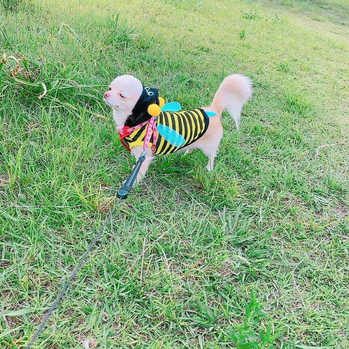 Ec362b02 be14 404c aa63 a9914d73db32 1621947025194