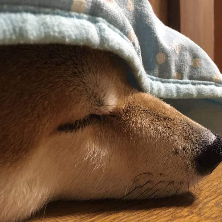 Ec3637ac 4d28 41f7 b04a 605bb54583d3 1566995968070