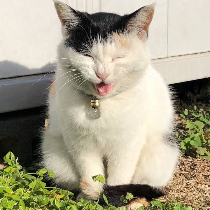 Ec365b6f 0f1c 4179 8a86 591d2e3ba11a 1615472040077