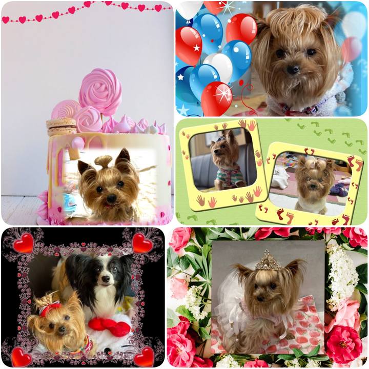 Ec36908b 9953 4389 8e20 b4551599f14a 1622513197040