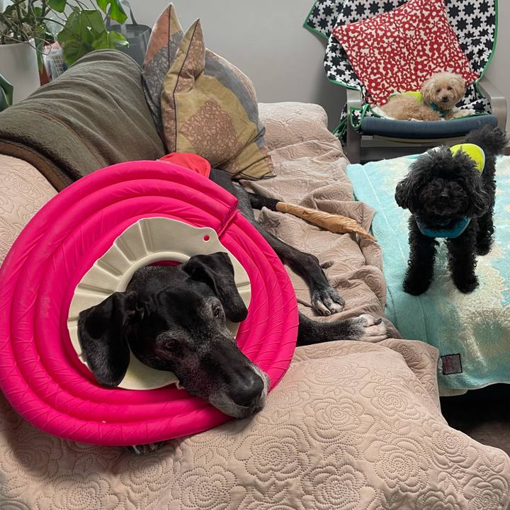 Ec36a70e 3d5d 4bd3 98fb 44d19c4a0276 1635979387740