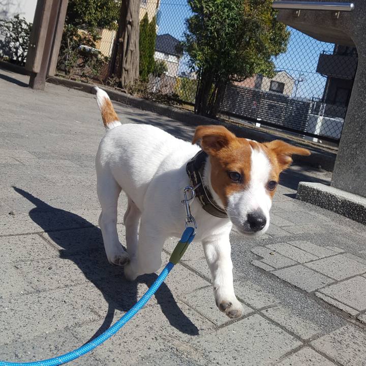 Ec36aa66 2c68 4d28 9d6f edfdeefb2b7b 1552032261593