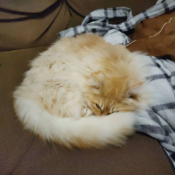 Ec36bb48 7f4f 484b 8da0 97a3f6399de6 1712757428381