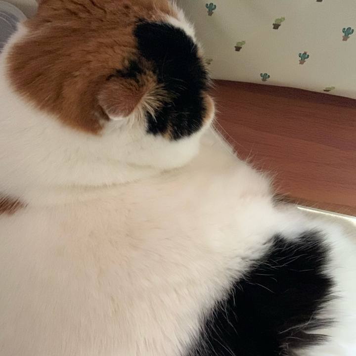 Ec36c1a6 05c8 41f7 8c2f 047e83cff262 1574205701568