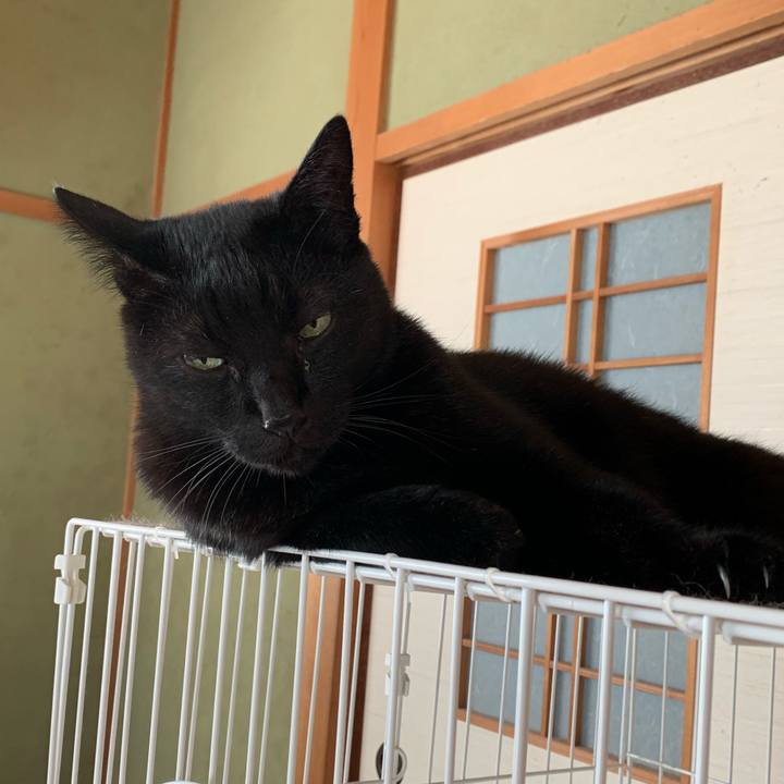 Ec36dbc8 c3d7 4b2e b4ed 8d77a7e2326c 1573954703080