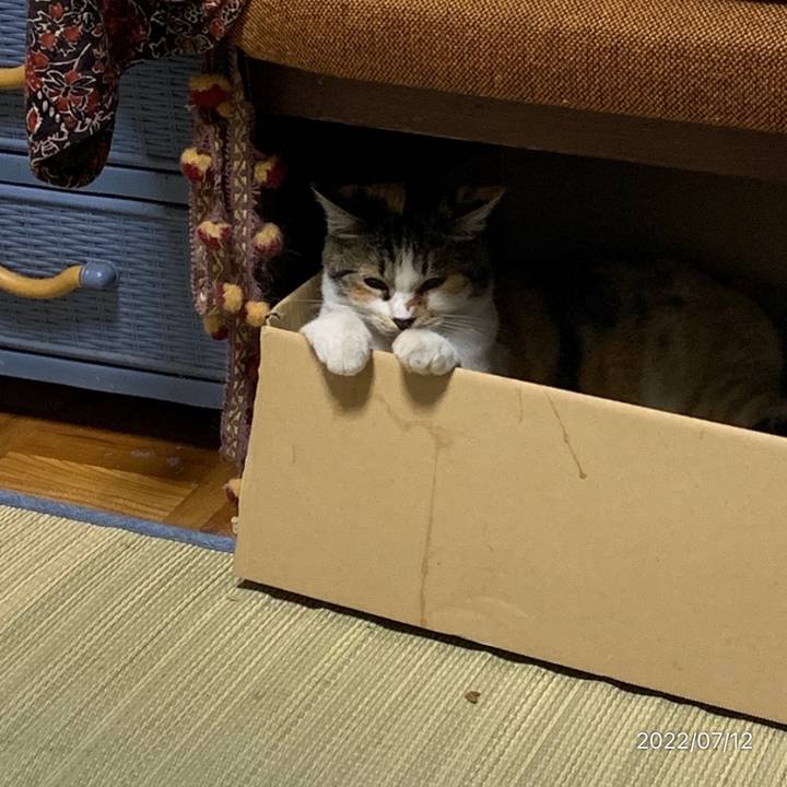 Ec36df8c 35f6 4f41 93e0 8231d1e4f689 1657626325999