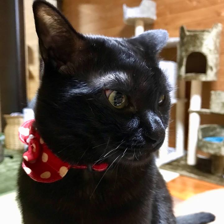 Ec37169b e4f4 4cbf 9d04 85879e7e83c8 1520512863628