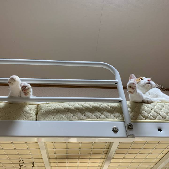 Ec3722fd a0e1 4f6c 9f1c 488df3fd74b7 1596322502735