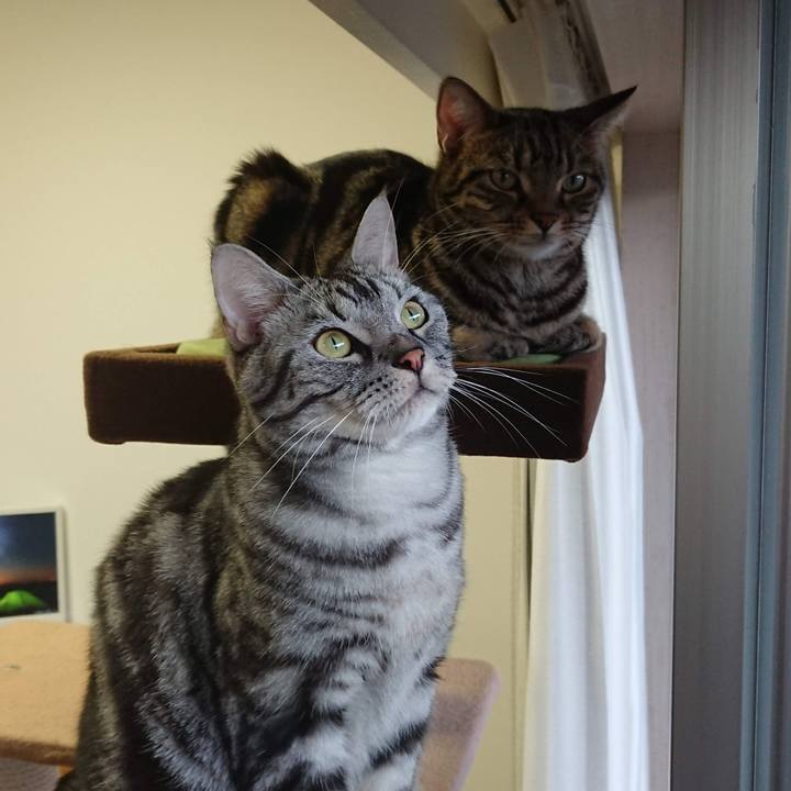 Ec37287a 5b93 41d4 9064 ca792e5212f9 1542637888896