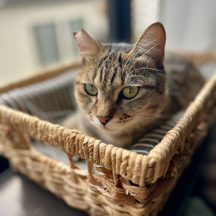 Ec372b70 c060 4ac2 b4b3 6d8c6d45ac1a 1764946536621