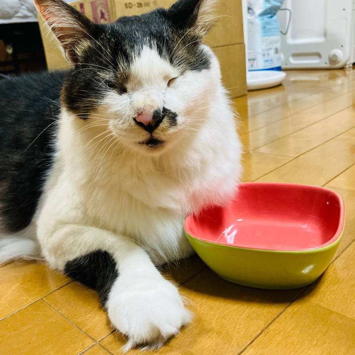 Ec37b36d dd42 4cc9 a740 1efa58056948 1753622280697