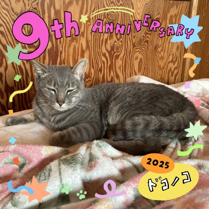 Ec37bf4e 7380 42e7 b70a 082027fb5826 1749254753067